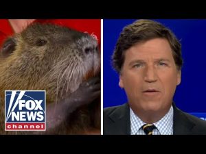 Read more about the article Tucker says hello to beloved rodent couple fought the state to keep