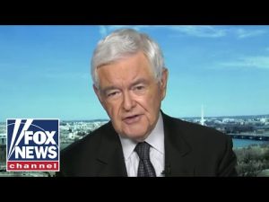 Read more about the article Gingrich: Democrats are more vulnerable than they think