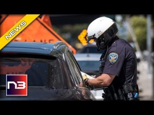 Read more about the article Illegal Aliens Get Free Ride from Massachusetts Taxpayers!