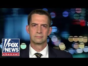 Read more about the article Tom Cotton: Is Biden’s ignorance of Chinese influence endangering US as world power?
