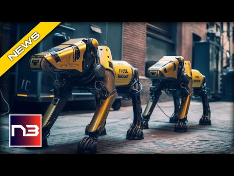 You are currently viewing Dystopian Police State Becomes Reality in NYC With New Reveal