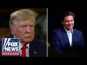 Read more about the article Karl Rove rips Trump’s ‘stupid’ ad jab at DeSantis: He’s ‘worried’