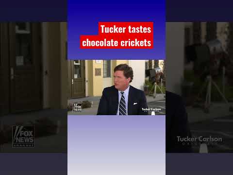 You are currently viewing Tucker Carlson eats bugs: ‘That’s delicious!’ #shorts