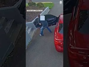 Read more about the article Connecticut homeowner fights off car thieves | ABC News