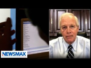 Read more about the article Why I don’t trust government on Biden, Pentagon leak cases: Sen. Ron Johnson