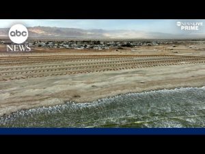 Read more about the article The Power of Water: The promise and perils of California’s Salton Sea