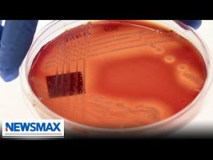 Read more about the article CDC: Deadly fungus spreading at an alarming rate | Wake Up America
