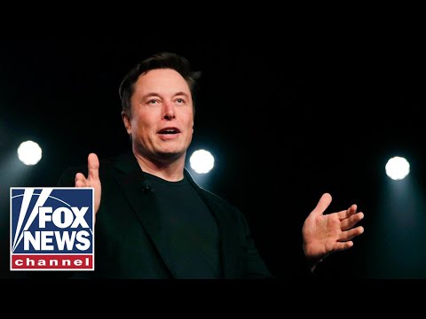 You are currently viewing If it weren’t for Elon Musk, we’d be approaching totalitarianism: Shellenberger