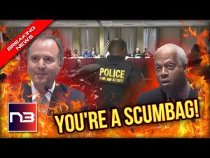 Read more about the article “YOU’RE A SCUMBAG!” Chaos Ensues at Hearing as Lawmakers Accuse Victims of Being Trump’s Props