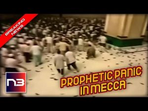 Read more about the article PROPHETIC PANIC: SCARY FOOTAGE SHOWS SWARM OF MYSTERIOUS INSECTS TAKING OVER MECCA!