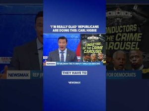 Read more about the article Republicans can ‘finally’ play by the same rules | Carl Higbie