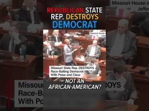 Read more about the article Republican Destroys Democrat