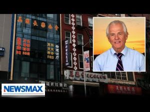 Read more about the article Peter Navarro: ‘It’s time for action’