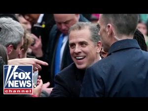 Read more about the article ‘HE HAS THE RECEIPTS’: IRS whistleblower investigating Hunter Biden seeking protection