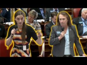 Read more about the article Trans Lawmaker Compares Puberty to TORTURE; Gets SCOLDED for Vicious Rhetoric