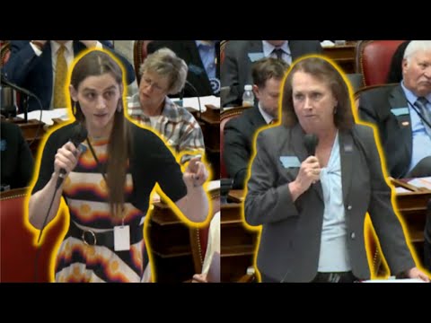 You are currently viewing Trans Lawmaker Compares Puberty to TORTURE; Gets SCOLDED for Vicious Rhetoric