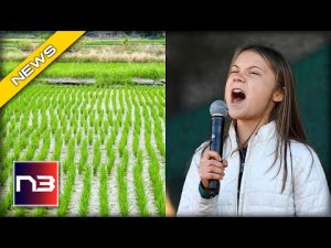 Read more about the article Climate Activists Threaten Food Supply by Targeting New Crop