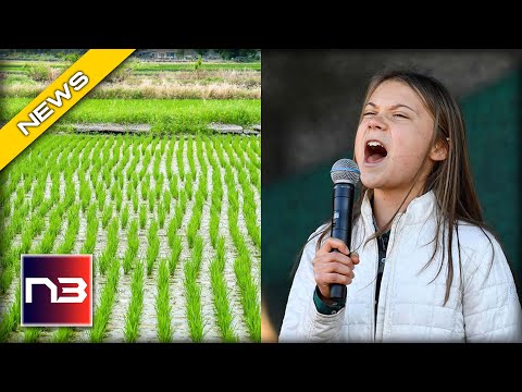 You are currently viewing Climate Activists Threaten Food Supply by Targeting New Crop