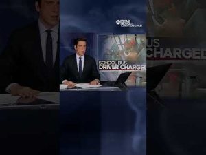 Read more about the article School bus driver charged with abuse after abrupt stop | ABC News