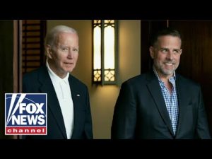 Read more about the article ‘Ample evidence of corruption’ in Hunter Biden probe: Jonathan Turley