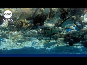 Read more about the article Great Lakes threatened by plastic pollution | ABCNL