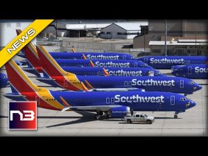 Read more about the article Southwest Airlines Endlessly Criticized after Failing Thousands of Travelers Earlier this Week