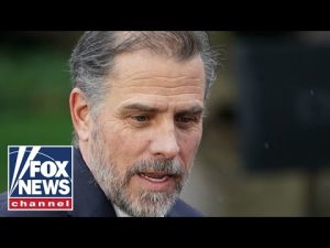 Read more about the article Hunter Biden scandal is ‘not a conspiracy theory’: Rep. Nancy Mace