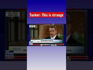 Read more about the article Tucker calls out Hunter Biden: You lie! #shorts