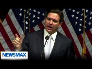 Read more about the article If they’re not attacking me, I must not be doing my job right: Ron DeSantis