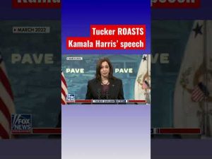 Read more about the article Tucker shreds Kamala Harris’ plans to bring equity to housing #shorts