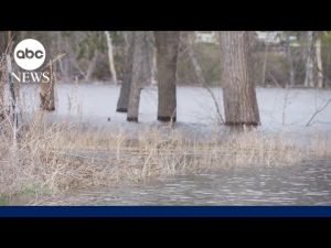 Read more about the article Flood warning is in effect from St. Louis to the Twin Cities