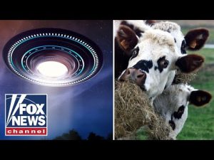 Read more about the article Something strange is going on in Texas: UFO investigator
