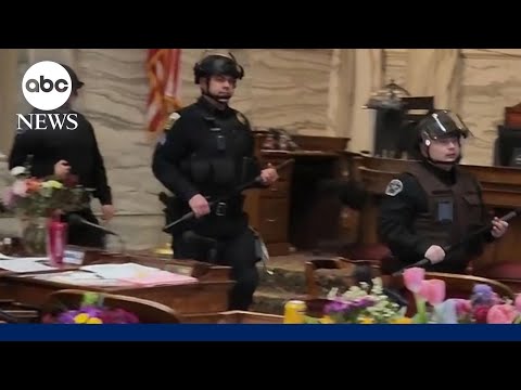 You are currently viewing Silencing of trans lawmaker