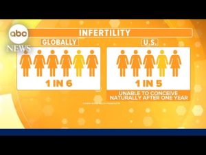 Read more about the article World Health Organization: Roughly 1 in 5 Americans struggle with infertility | ABCNL