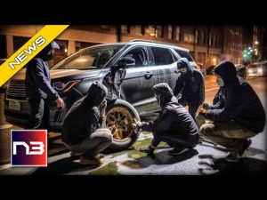 Read more about the article Tire Extinction: The New Trend in Climate Change Activism?