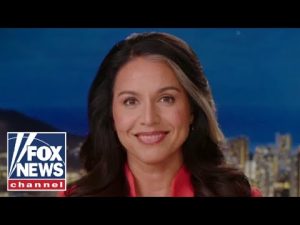 Read more about the article Tulsi Gabbard: This is literal insanity