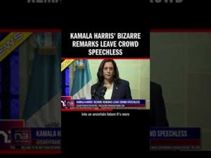 Read more about the article Kamala Harris’ bizarre remarks leave crowd speechless