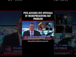 Read more about the article PETA Accuses NYC Officials of Misrepresenting Rat Problem