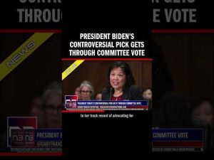 Read more about the article President Biden’s Controversial Pick Gets Through Committee Vote