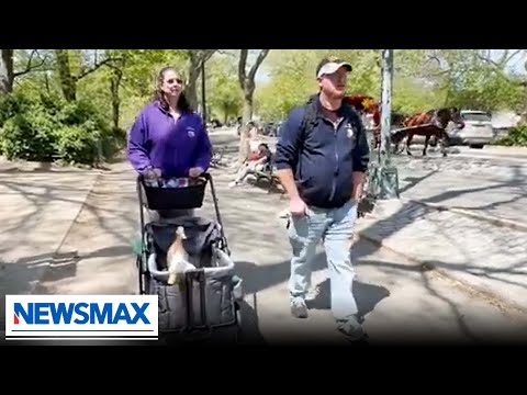 You are currently viewing Veteran uses emotional support ducks to help senior citizens