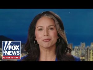 Read more about the article Tulsi Gabbard: This is insanity