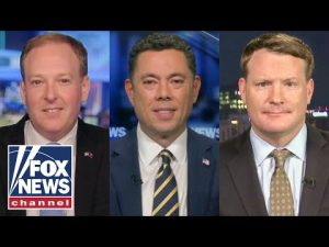 Read more about the article Lee Zeldin: Democrats would lose their minds if this was on the other foot