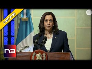 Read more about the article Kamala Harris Goes on Nonsensical Rant Promoting Her Favorite Thing