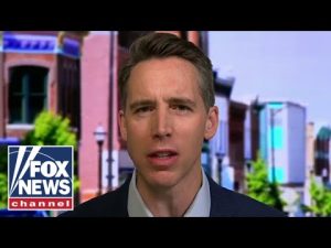 Read more about the article Josh Hawley: Biden admin is ‘morally responsible’ for this ‘travesty’