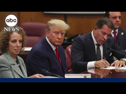 You are currently viewing Trump pleads not guilty on 34 felony counts