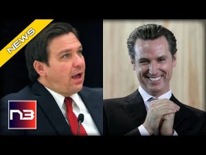 Read more about the article Newsom’s Plan To Bring Unbridled “Freedom” To Red States