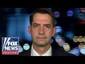 Read more about the article Tom Cotton demands immediate dismissal of Trump indictment: ‘It’s a joke’