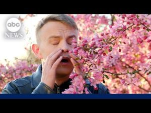 Read more about the article Patel it like it is: How to combat seasonal allergies | ABCNL