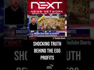 Read more about the article Shocking Truth Behind the Egg Profits #shorts