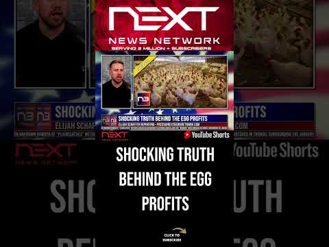You are currently viewing Shocking Truth Behind the Egg Profits #shorts